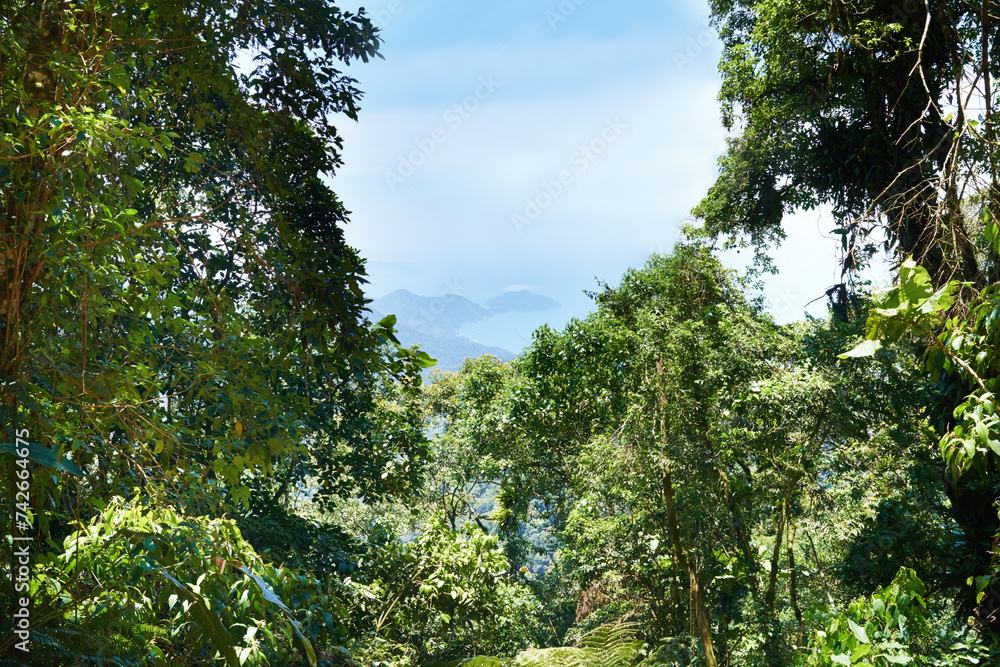 Fototapeta premium Trees, rainforest and sky on landscape with sunshine, growth and sustainability in summer with rocks. Mountains, leaves and earth in tropical jungle with environment, ecology and nature in Colombia