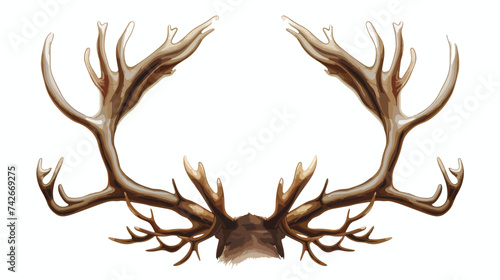 Antlers of a reindeer illustration vector
