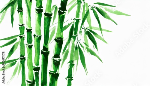 竹、竹林、イラスト素材