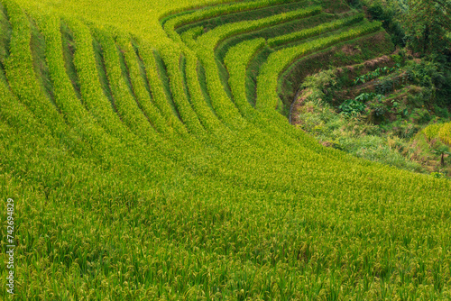 Terrace in Longsheng Guilin China