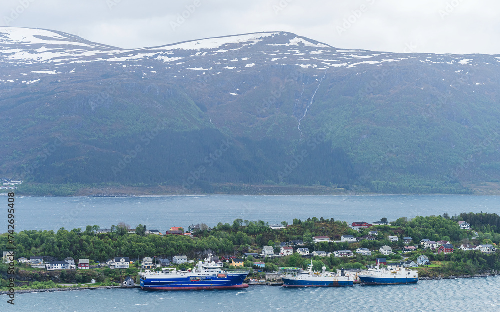 Ships in the fjord, ALESUND, Geirangerfjord, Norway