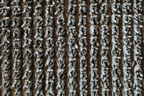 Dirt-proof door mat bristly texture close-up. Outdoor plastic mat with bristles to collect sand and dust.