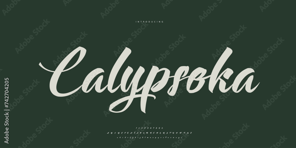 signature Font Calligraphy Logotype Script Brush Font Type Font lettering handwritten	
