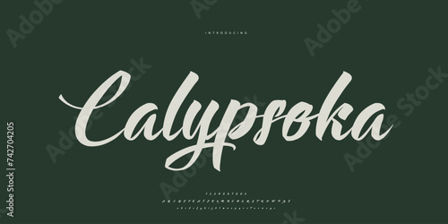signature Font Calligraphy Logotype Script Brush Font Type Font lettering handwritten	
