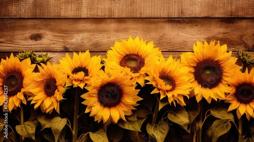 farmhouse rustic background with sunflowers