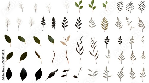 Assorted leaves on a plain white backdrop, suitable for nature or environmental concepts © Fotograf