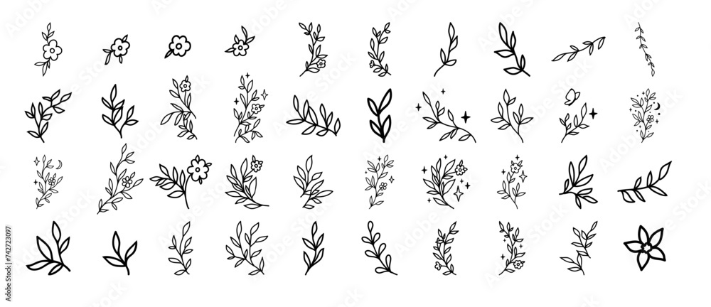 Leaves set. Vector illustration. Hand drawn decorative elements. Flowers with butterfly Leaves set. Vector illustration. Hand drawn decorative elements. Flowers with butterfly