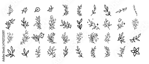 Leaves set. Vector illustration. Hand drawn decorative elements. Flowers with butterfly