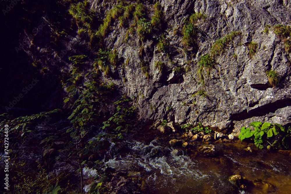 Mountain river flowing in the rocky Bicaz gorge (Romania: Cheile Bicazului). The canyon is located in Transylvania, Romania Mountain river flowing in the rocky Bicaz gorge (Romania: Cheile Bicazului). The canyon is located in Transylvania, Romania
