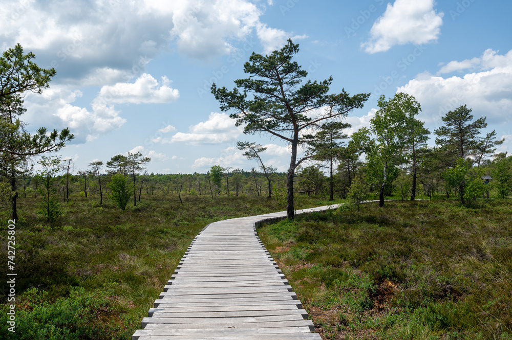 Moor landscape with wooden path Moor landscape with wooden path