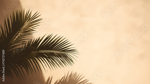 Close up of palm leaves on background