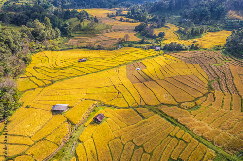 Beautiful  rice fields of hill tribes in northern Thailand, Chiang Mai province, Thailand. photo