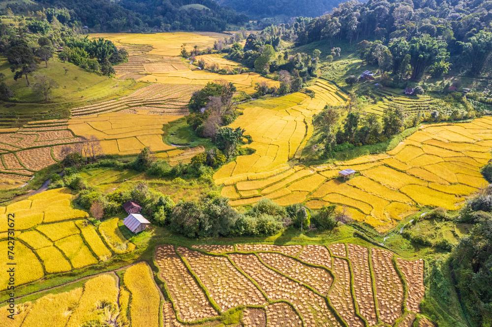 Beautiful  rice fields of hill tribes in northern Thailand, Chiang Mai province, Thailand.