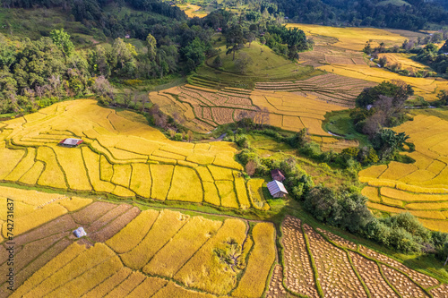 Beautiful rice fields of hill tribes in northern Thailand, Chiang Mai province, Thailand.