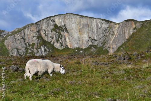 county of Donegal, Ireland - september 15 2022 : Slieve League