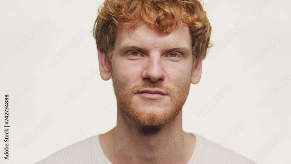 Portrait of a Red-Haired Man with a Beard on White Portrait of a Red-Haired Man with a Beard on White