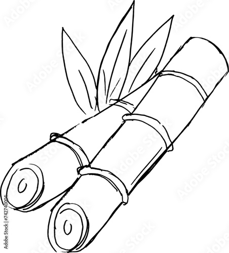 sketch sugar cane hand drawn