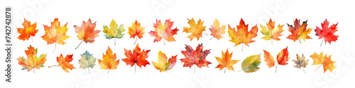 Watercolor vector set leaf. Fall illustration. Autumn season.
