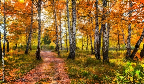 autumn in the park