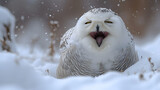 nowy Owl-Yawning Smiling in Snow, generative ai