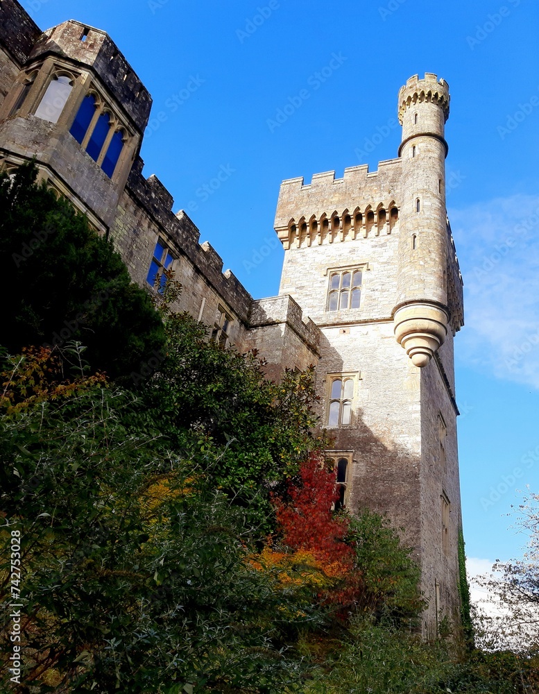 tower of the castle tower of the castle