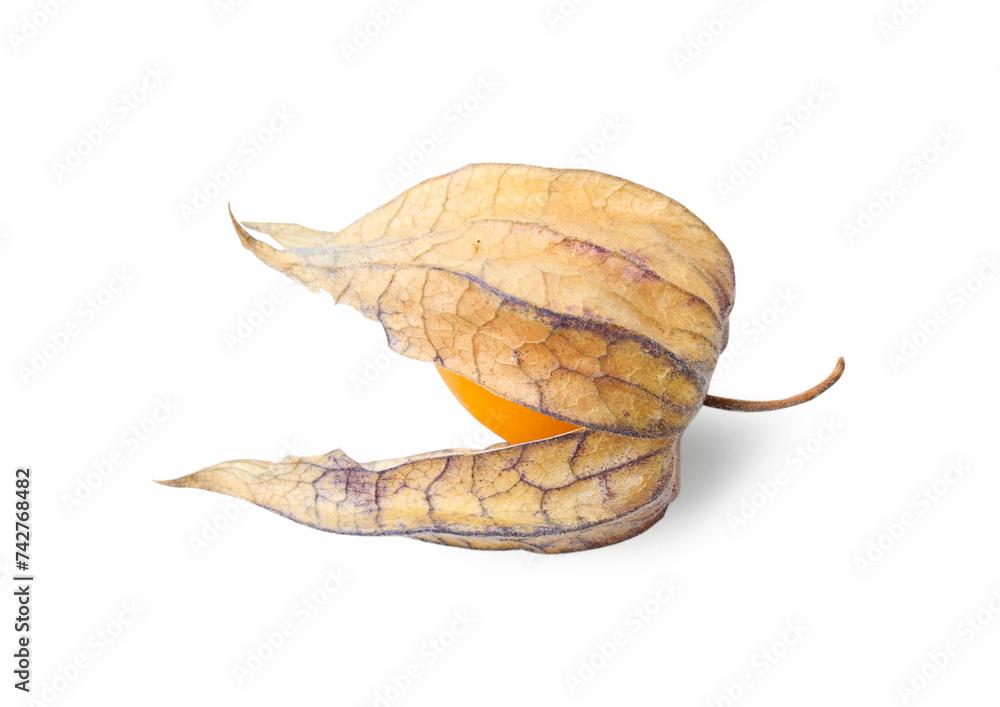 Ripe physalis fruit with calyx isolated on white, top view Ripe physalis fruit with calyx isolated on white, top view