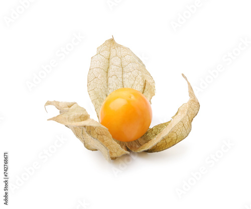 Ripe physalis fruit with calyx isolated on white