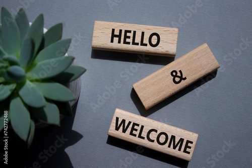Hello and Welcome symbol. Concept words Hello and Welcome on wooden blocks. Beautiful grey background with succulent plant. Business and Hello and Welcome concept. Copy space. photo