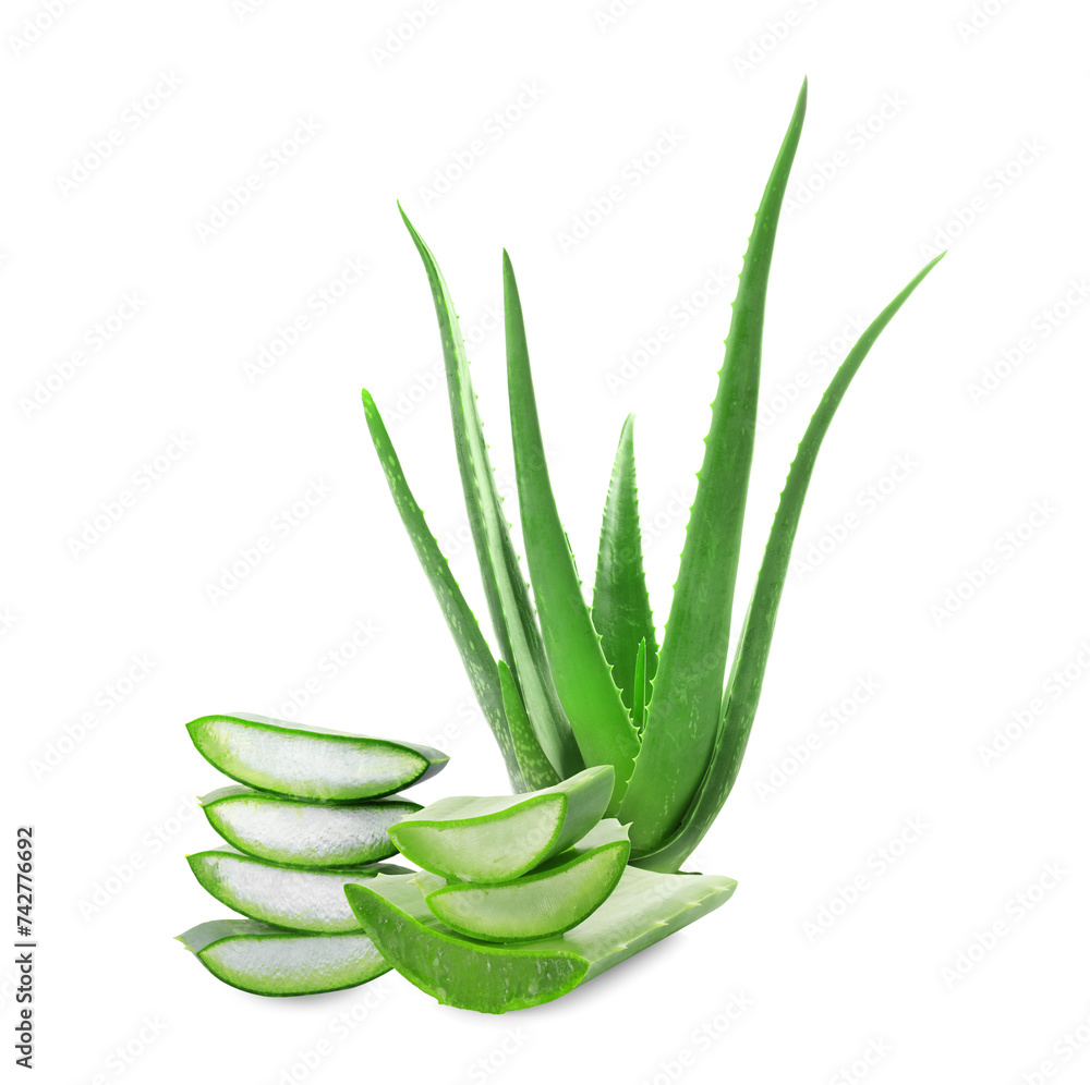 Cut aloe vera leaves isolated on white Cut aloe vera leaves isolated on white