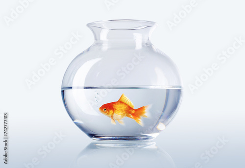 Goldfisch im Glas