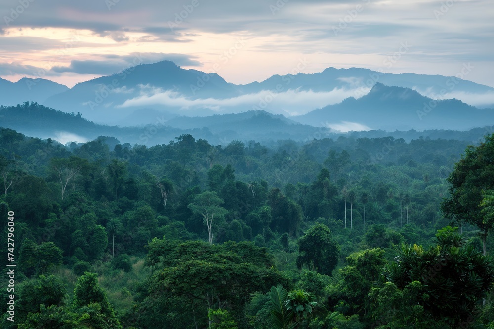 A dense forest filled with lush greenery and abundant trees in a stunning natural setting. A dense forest filled with lush greenery and abundant trees in a stunning natural setting.