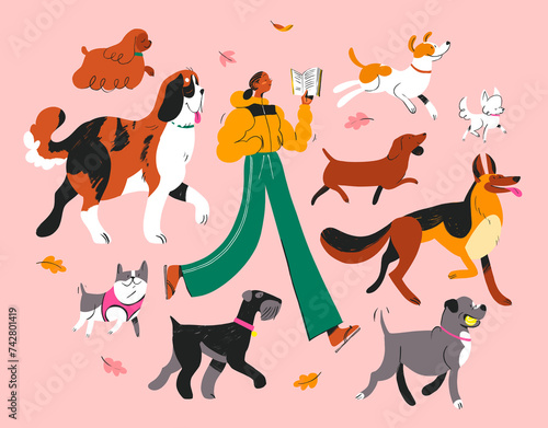 Dog Walking Illustration Pack photo