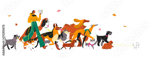 Walking Dogs Illustration - Invisible Background
