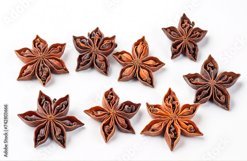 Star anise collection on white background