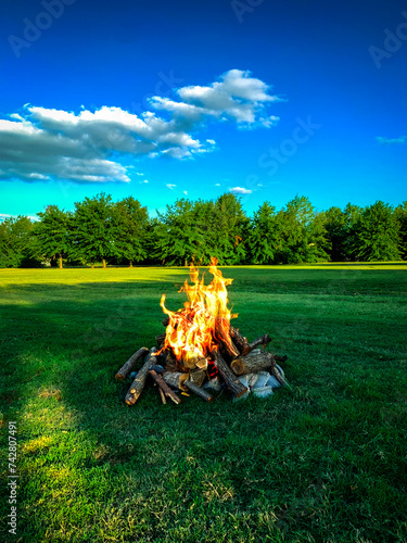 Blazing fire dances in meadow's heart, casting warm, inviting glow. Flames, rising like eager tongues, project dancing shadows on green grass.