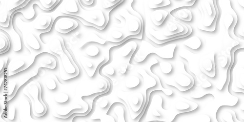 3d render, abstract white paper background. Paper cut vector art background banner texture. multi layer cutout geometric pattern on vector, Abstract soft white background with waves. 