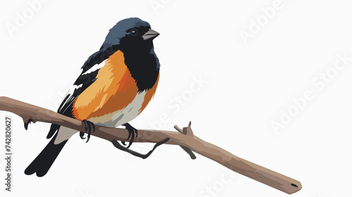 Bird on a Branchflat Vector Isolated on White isolated