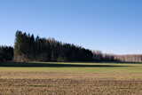 agricultural field, early spring, latvia landscape, blue sky, cloudless, sunny day, forest ahead, 