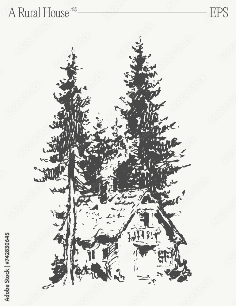Fototapeta premium A house in a forest with evergreen trees on a sloped landscape. Hand drawn vector illustration.