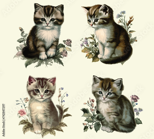 Vintage Botanical Kitten Cat Vector Illustration