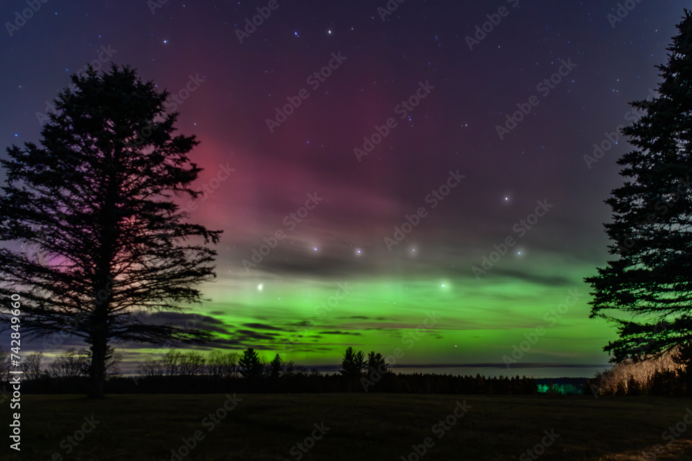 Big Dipper rests between two pine trees among the Northern Lights Big Dipper rests between two pine trees among the Northern Lights
