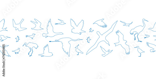 Birds. Vector blue outline silhouettes seamless border.