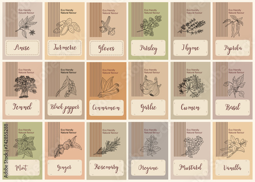 Spice packaging design with hand drawn botanical herbs sketch on natural pastel colors backgrounds. Pantry spice jar seasoning stickers organizer set. Food labels for kitchen food containers vector. photo
