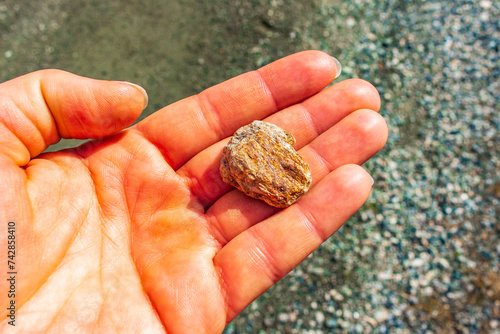 Stone in the hand holding in Rondane National Park Norway.