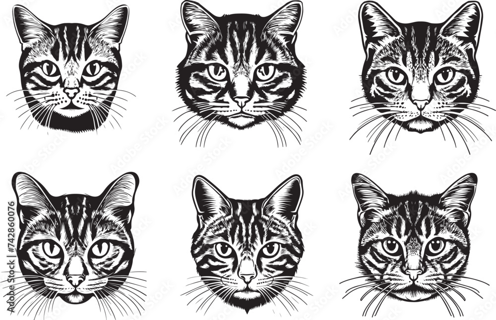 Black and White Tabby Cat Vector Logo Animal Head