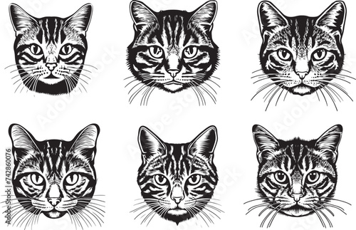 Black and White Tabby Cat Vector Logo Animal Head