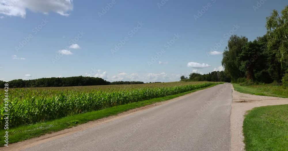 narrow paved road in summer, paved road in sunny weather narrow paved road in summer, paved road in sunny weather