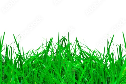 fresh green grass farm isolated on white background