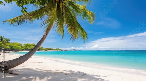 A photo of a palm treelined beach