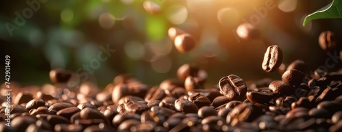 Coffee Beans: A Macro Perspective on Aromatic Roasts and Energizing Brews